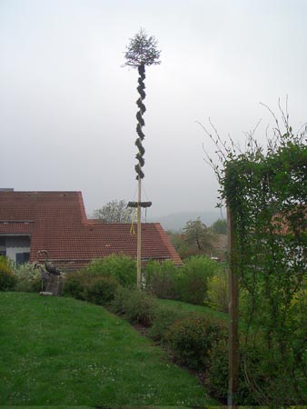 CIMG0505